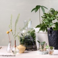 DIY groene plantenhoek met Amazona Krijtverf