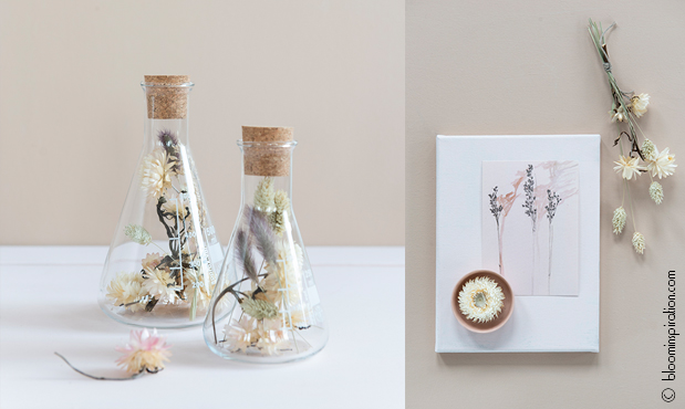 Dried flowers and slow flowers