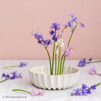 Ikebana; Japanse bloemschikkunst en voorjaarsbloemen